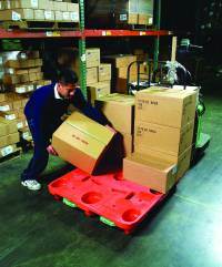 Plastic Pallets Gain Ground In an Eco-Conscious World                                                                   